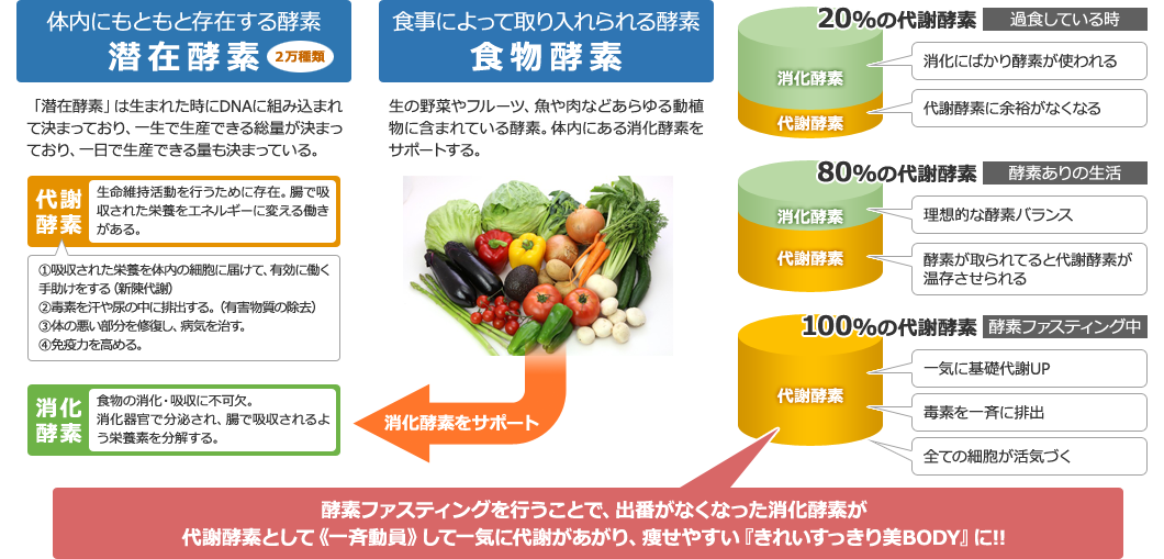 酵素ファスティングで代謝をあげ、痩せやすい「きれいすっきり美BODY」に!!